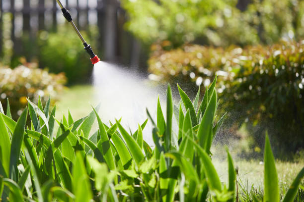 24/7 Emergency Ant Control experts in Ocean Springs, MS